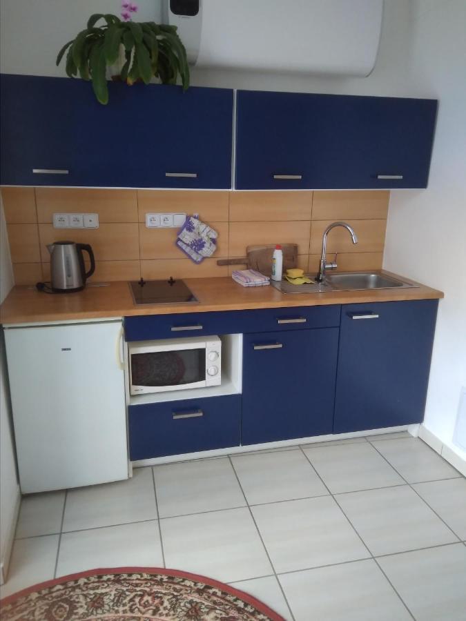 Dvur V Borovne Lägenhet Borovná Exteriör bild