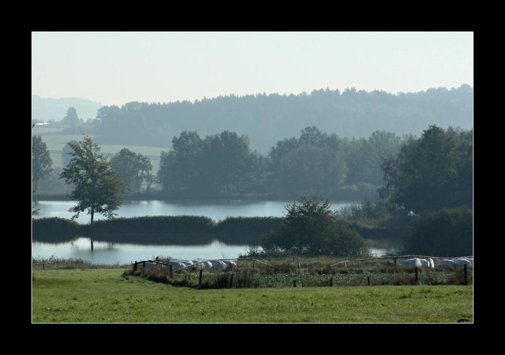 Dvur V Borovne Lägenhet Borovná Exteriör bild